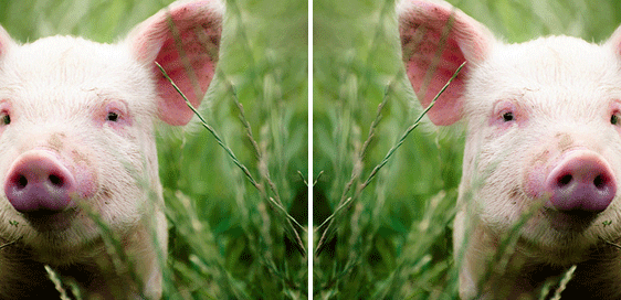 50例PS快捷键,你敢不敢记住!